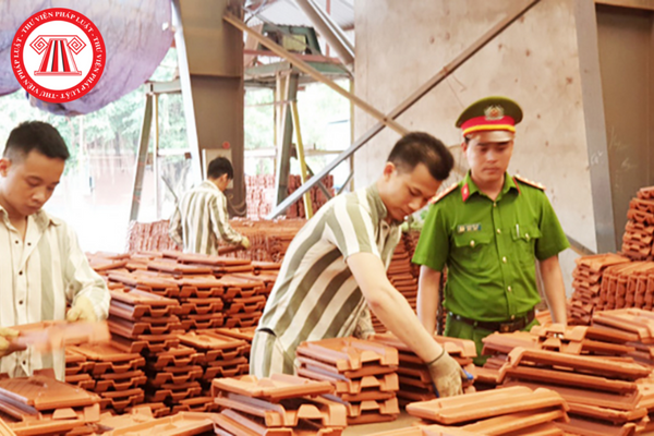 tổ chức lao động cho phạm nhân