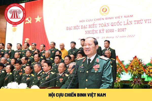 Hội Cựu chiến binh Việt Nam