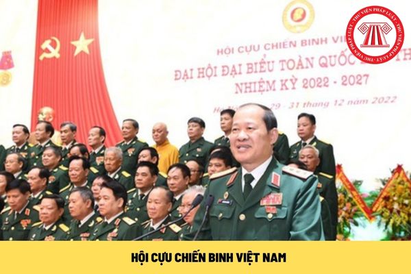 Hội Cựu chiến binh Việt Nam