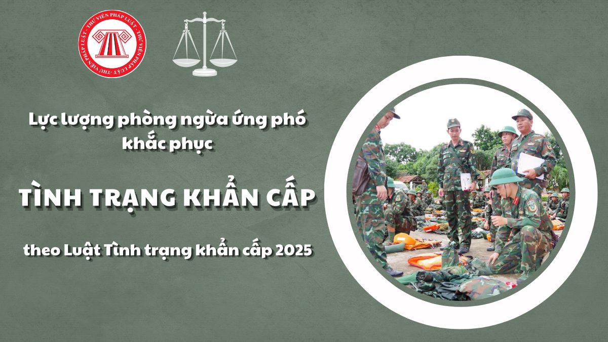 Pháp luật
