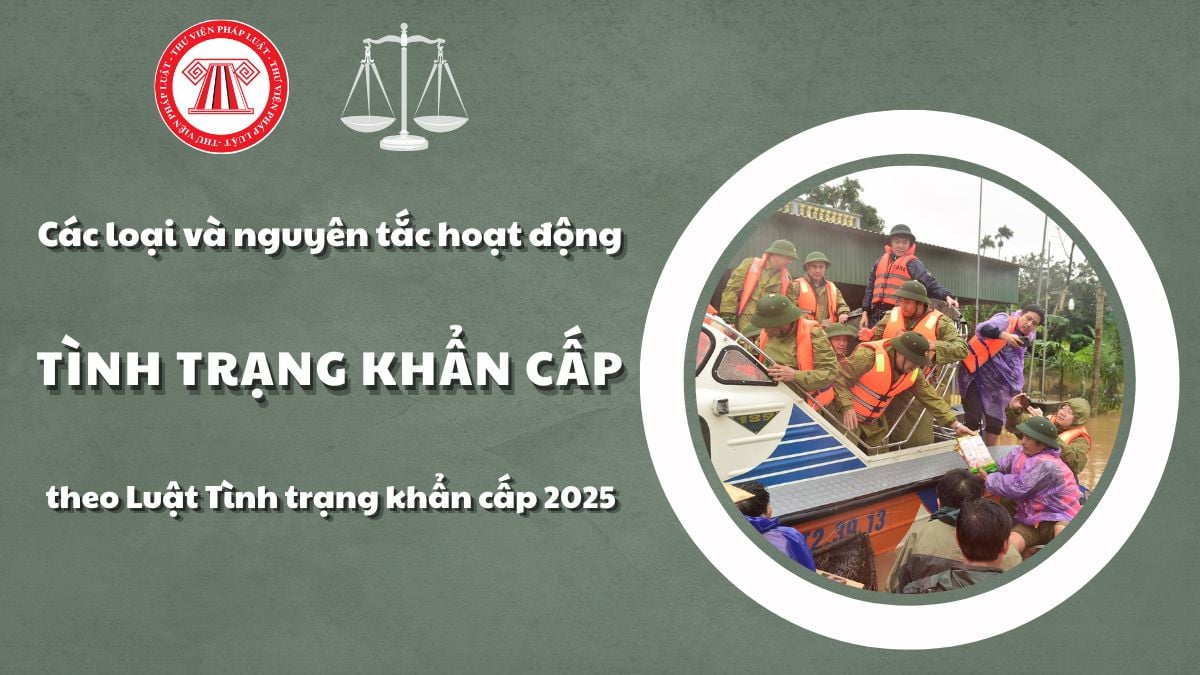 Pháp luật