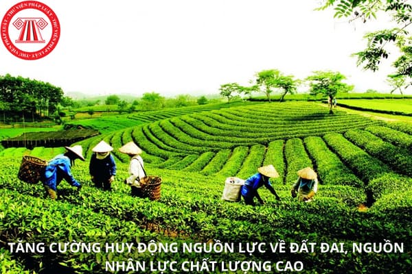 huy động nguồn lực