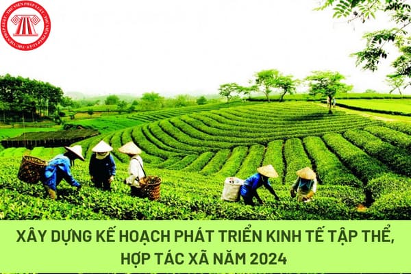 kinh tế htx