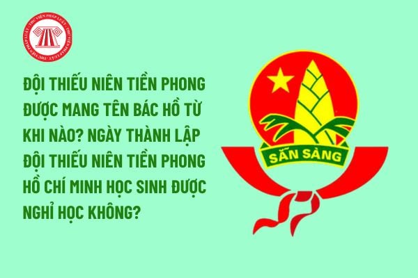 Pháp luật
