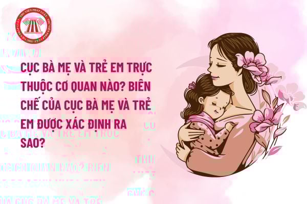 Pháp luật