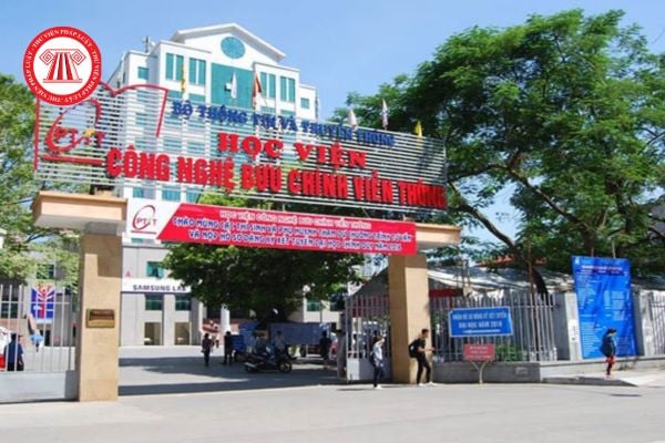 Pháp luật