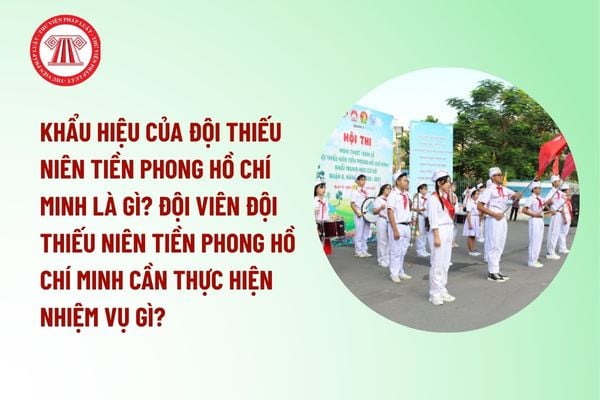 Pháp luật