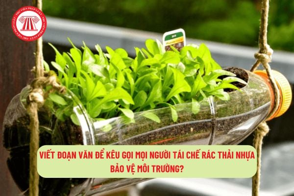 Viết đoạn văn để kêu gọi mọi người tái chế rác thải nhựa bảo vệ môi trường? Đoạn văn kêu gọi tái chế rác thải bảo vệ môi trường hay nhất?