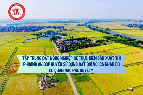 Tập trung đất nông nghiệp để thực hiện sản xuất thì phương án góp quyền sử dụng đất đối với cá nhân do cơ quan nào phê duyệt? 