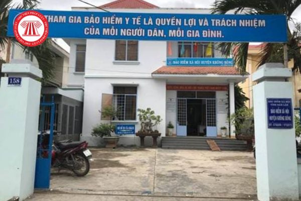 Pháp luật