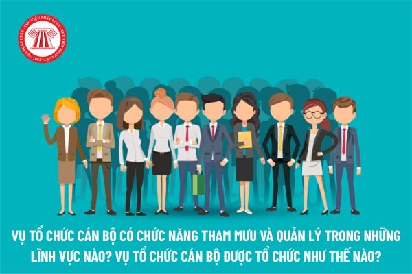 Vụ Tổ chức cán bộ có chức năng tham mưu và quản lý trong những lĩnh vực nào? Vụ Tổ chức cán bộ được tổ chức như thế nào?