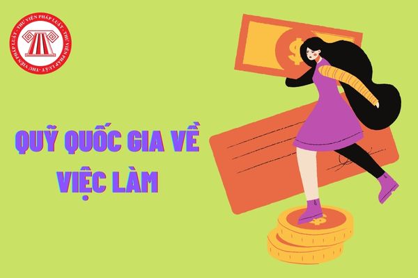 Quỹ quốc gia về việc làm được sử dụng vào các hoạt động gì?