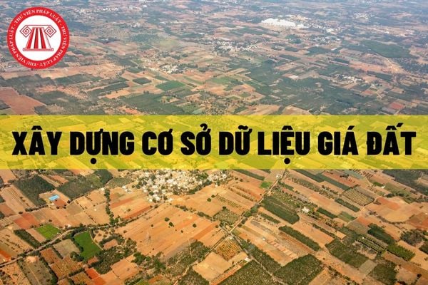 Tại tỉnh thực hiện xây dựng cơ sở dữ liệu giá đất về các vấn đề gì?