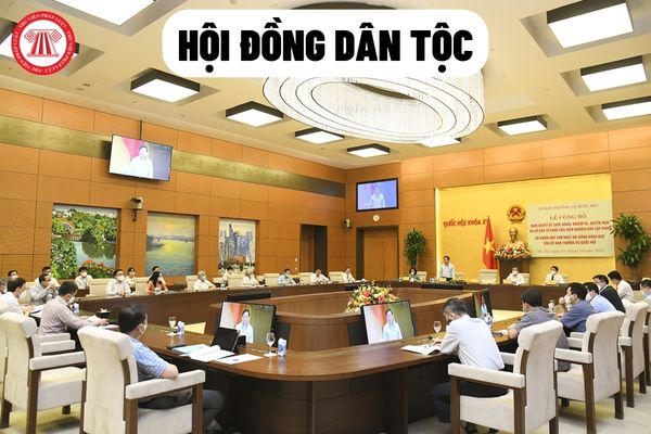 Ai có quyền tham gia làm thành viên của Hội đồng dân tộc?