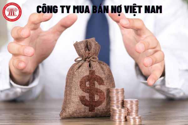 Về tổ chức kinh doanh công ty Mua bán nợ Việt Nam có quyền gì? 