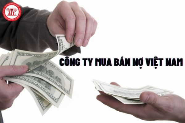 Công ty Mua bán nợ Việt Nam thuộc loại hình doanh nghiệp nào?