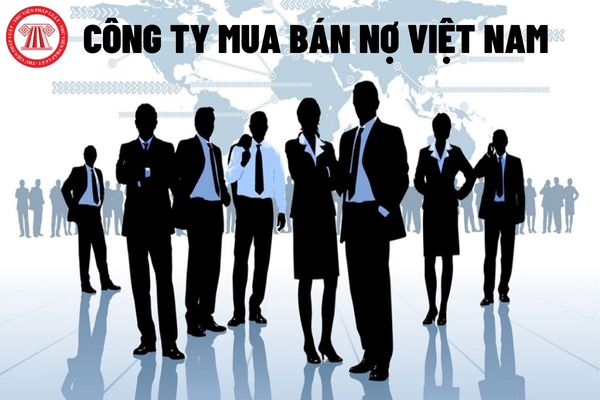 Tổng Giám đốc Công ty Mua bán nợ Việt Nam có được làm thành viên Hội đồng thành viên Công ty hay không?