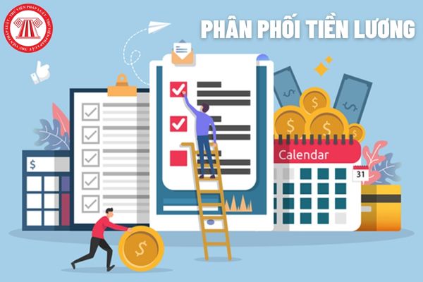 Công ty Mua bán nợ Việt Nam thực hiện phân phối tiền lương cho người lao động theo quy định như thế nào?