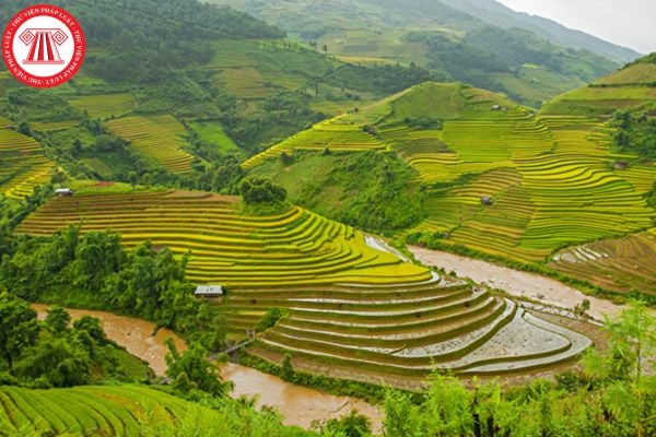 Hạn nộp hồ sơ khai thuế sử dụng đất phi nông nghiệp 2026 là khi nào? Ai phải nộp thuế sử dụng đất phi nông nghiệp?
