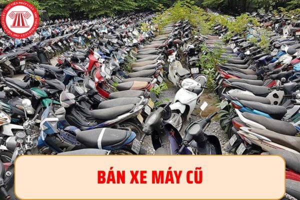 Pháp luật
