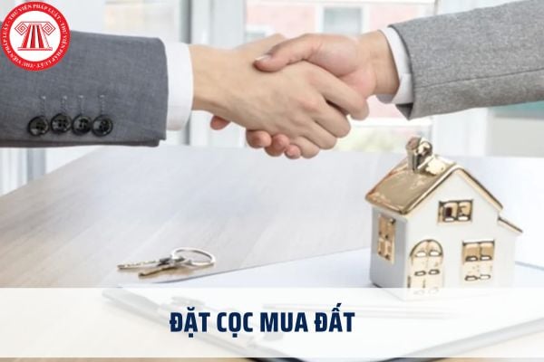 Pháp luật