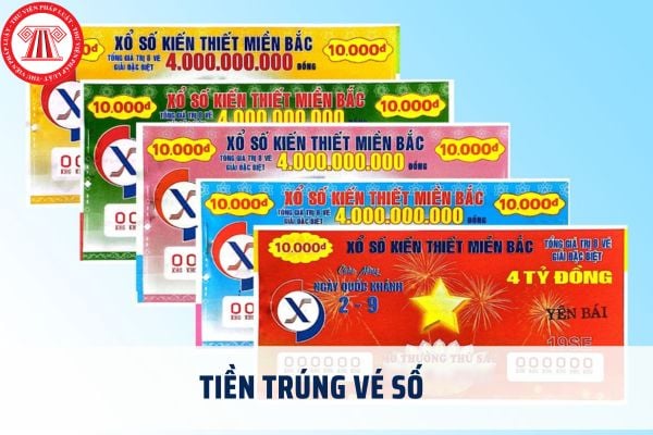 Pháp luật