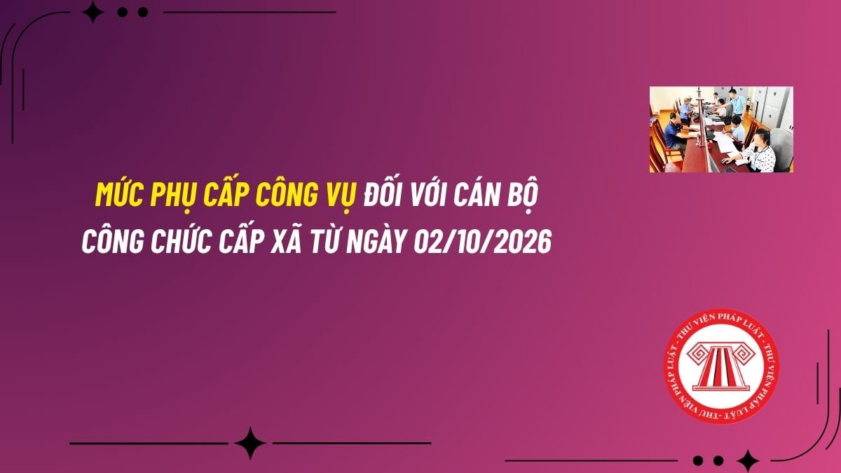 Pháp luật