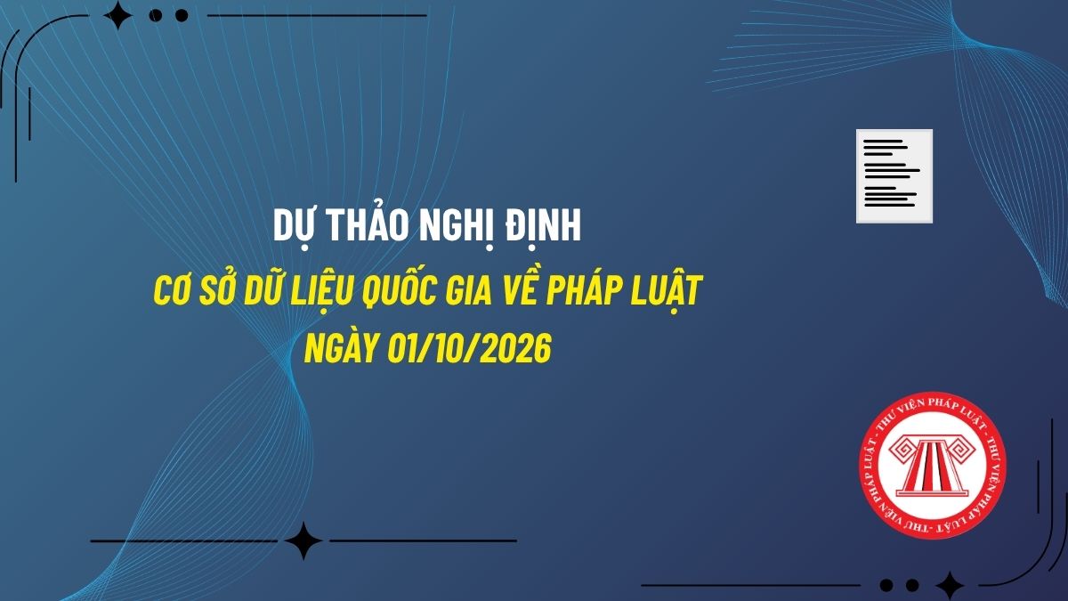 Pháp luật