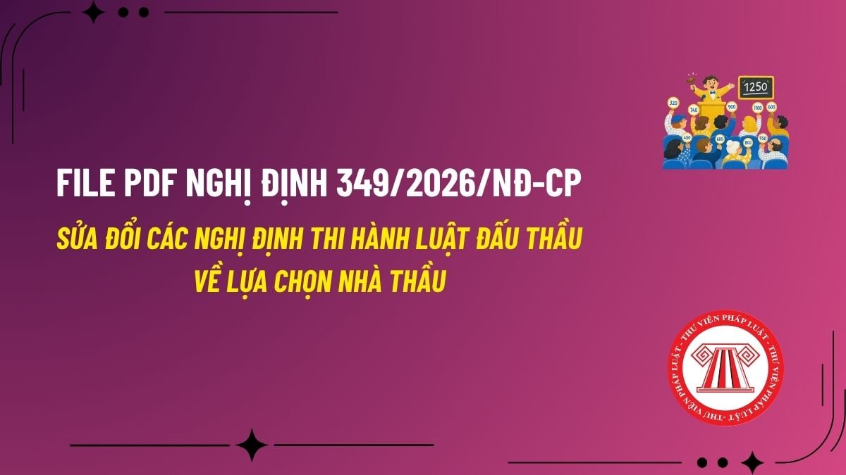 Pháp luật