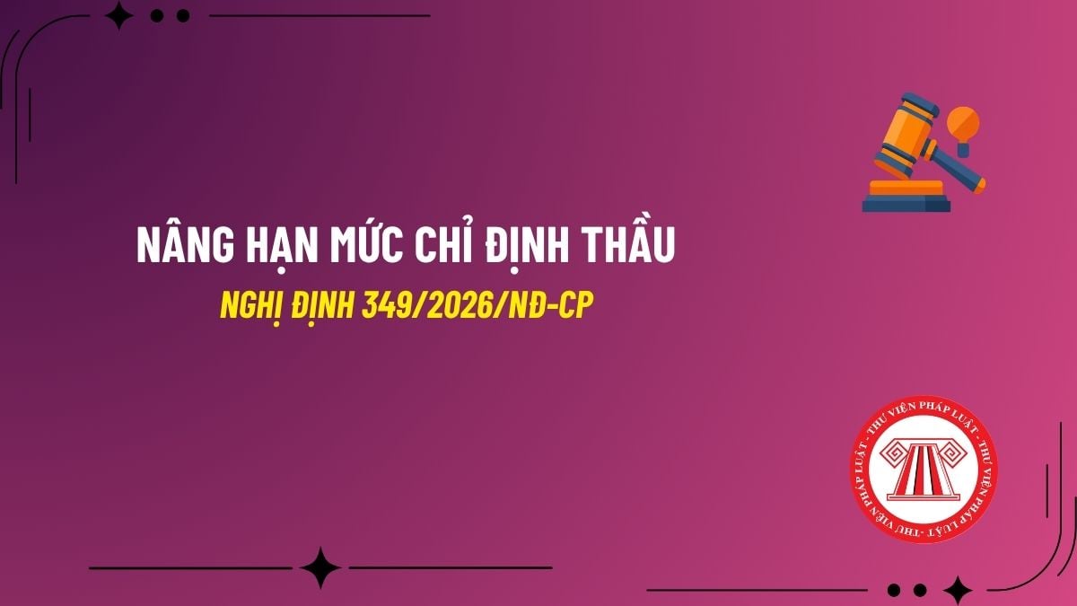 Pháp luật