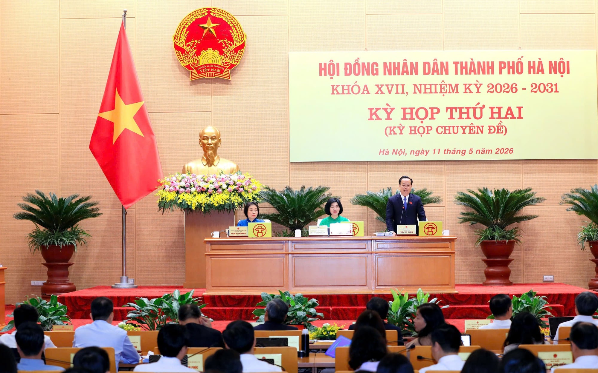 Pháp luật