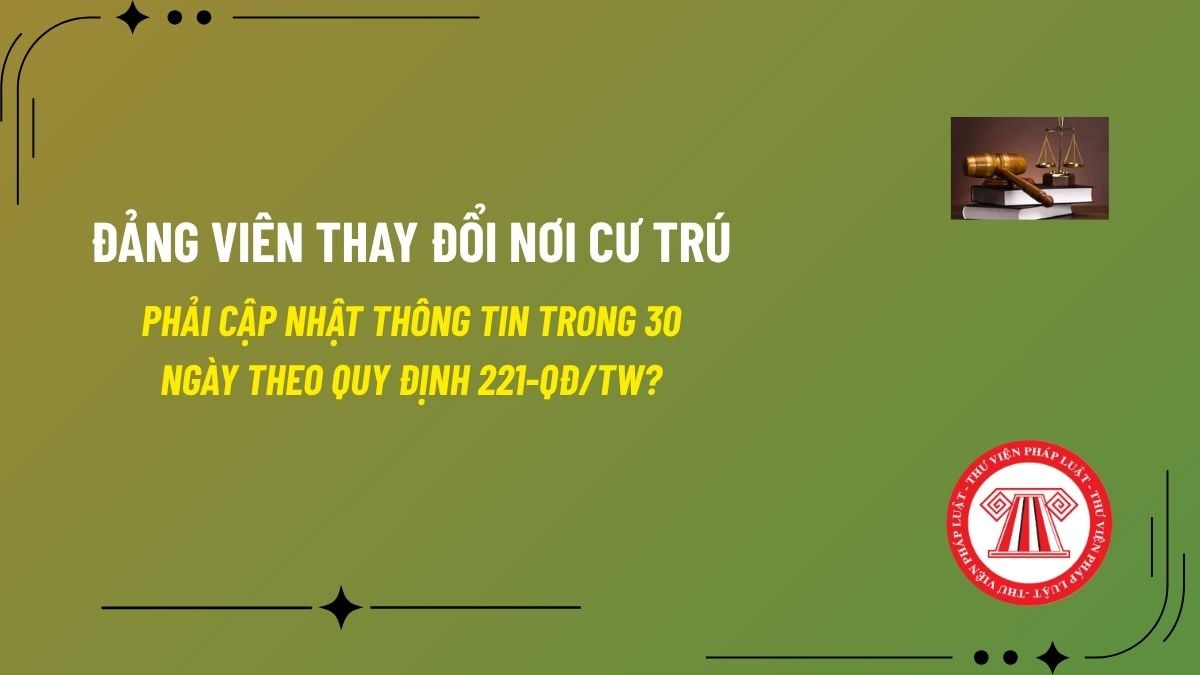 Pháp luật