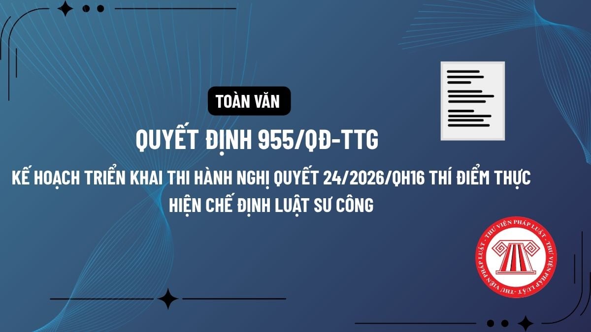Pháp luật