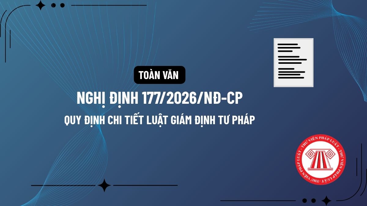 Pháp luật