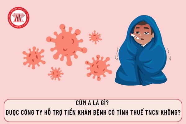 Pháp luật