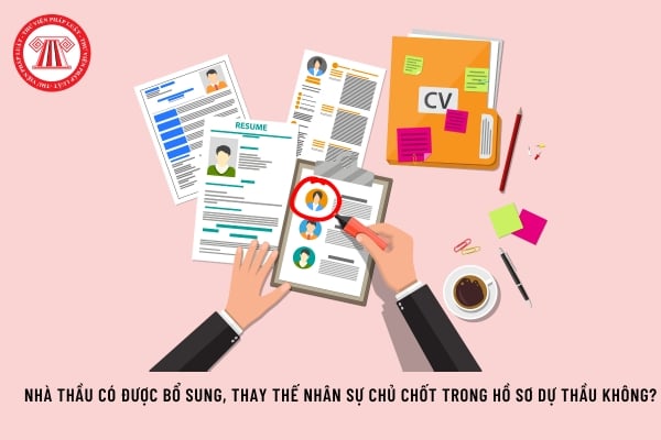 Pháp luật