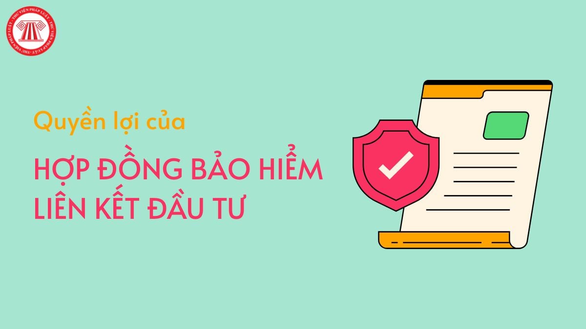 Pháp luật