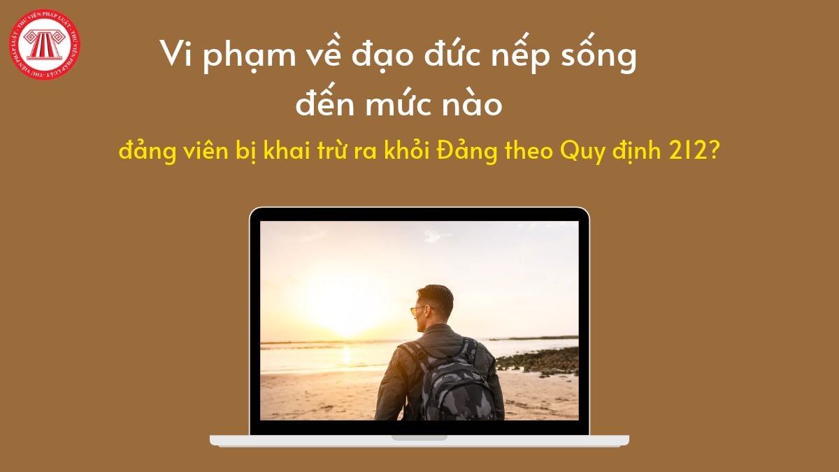 Pháp luật