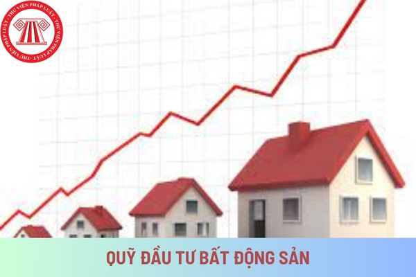 Quỹ đầu tư bất động sản có được tham gia đấu giá quyền sử dụng đất thực hiện dự án bất động sản hay không?