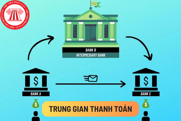 Công ty dịch vụ trung gian thanh toán cần có người đại diện theo pháp luật có đủ tiêu chuẩn gì để đề nghị cấp phép?