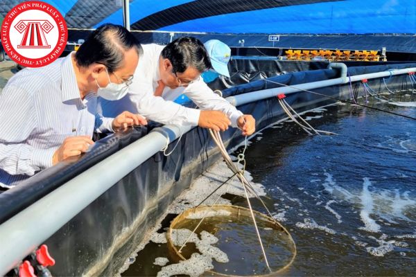 Doanh nghiệp được phép nhập khẩu giống thủy sản không thuộc danh mục loài thủy sản được phép kinh doanh tại Việt Nam trong trường hợp nào?