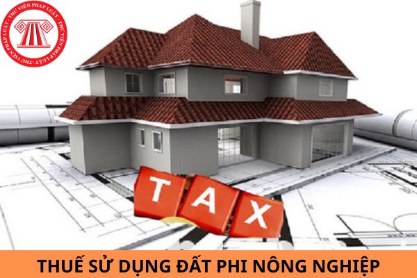 Các trường hợp miễn thuế sử dụng đất phi nông nghiệp năm 2024?