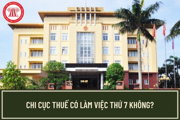 Chi cục Thuế có làm việc thứ 7 không? Thời gian làm việc của chi cục thuế đến 4 giờ hay 5 giờ?