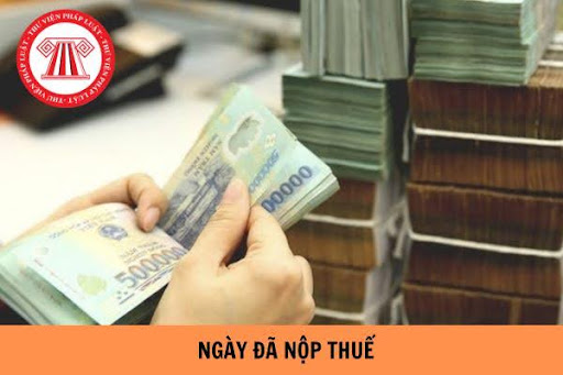 Pháp luật