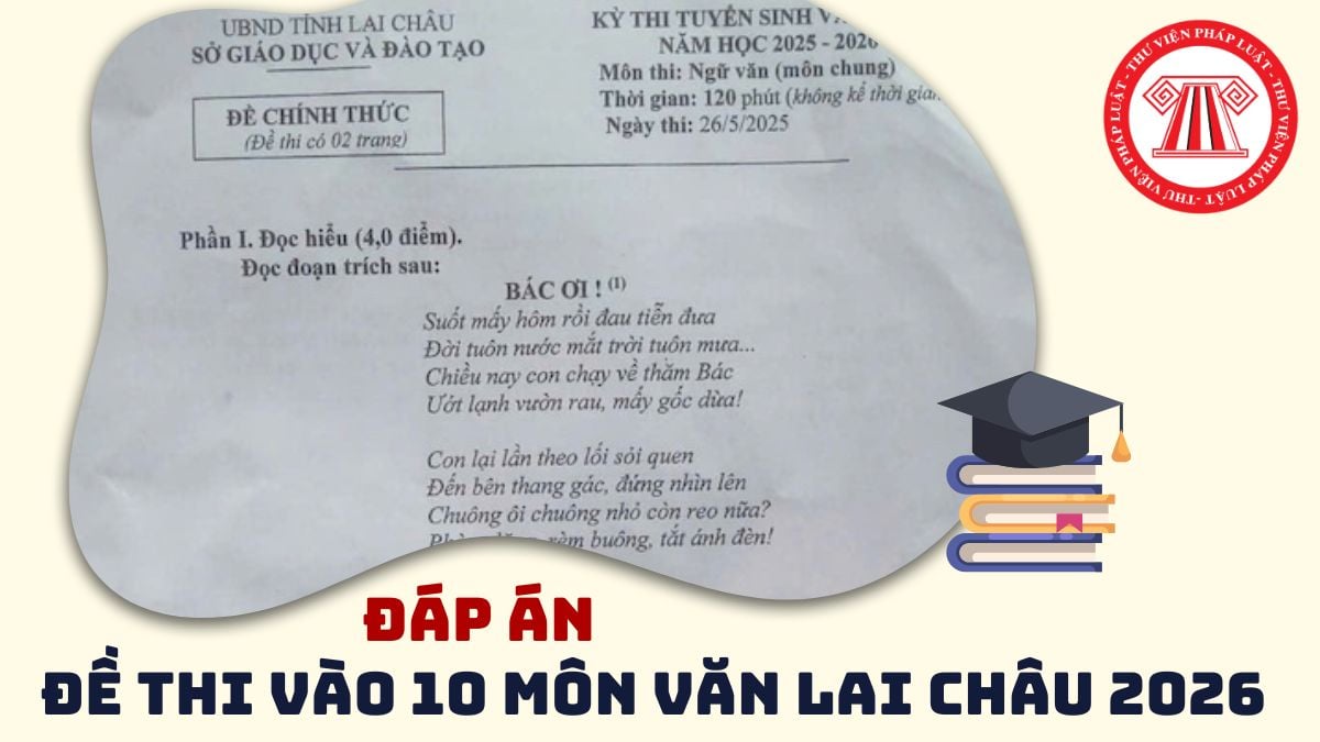 Pháp luật