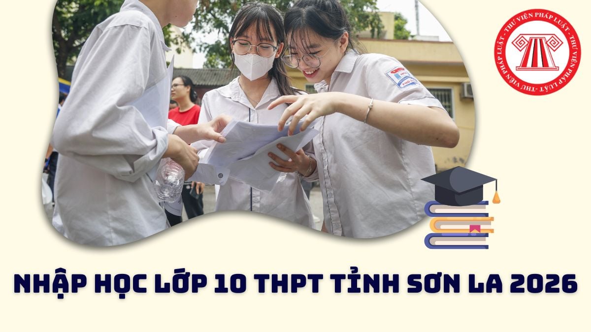 Pháp luật