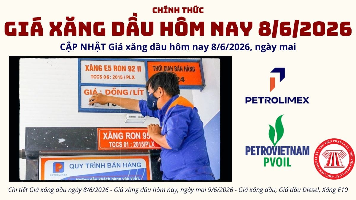 Pháp luật
