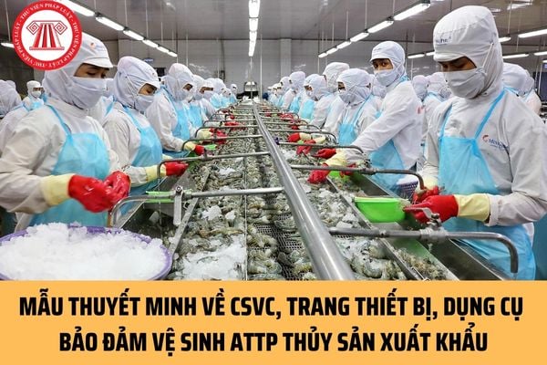 Mẫu Bản thuyết minh về cơ sở vật chất, trang thiết bị, dụng cụ bảo đảm điều kiện vệ sinh an toàn thực phẩm thủy sản xuất khẩu ra sao?