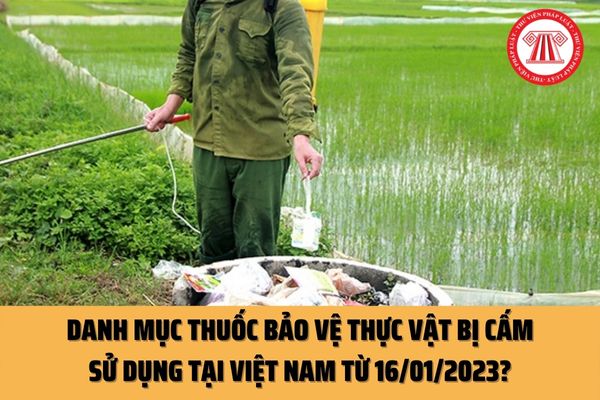 Thuốc bảo vệ thực vật nào thuộc Danh mục thuốc bị cấm tại Việt Nam từ 16/01/2023? Bán thuốc bảo vệ thực vật bị bấm sẽ bị xử phạt ra sao?
