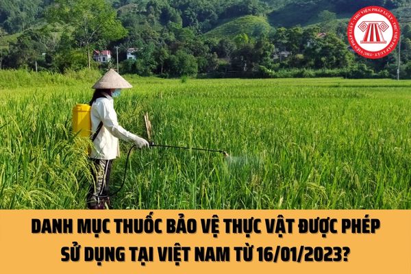 Từ 16/01/2023, thuốc bảo vệ thực vật nào được phép sử dụng tại Việt Nam? Chất lượng thuốc bảo vệ thực vật dựa trên những tiêu chuẩn nào?